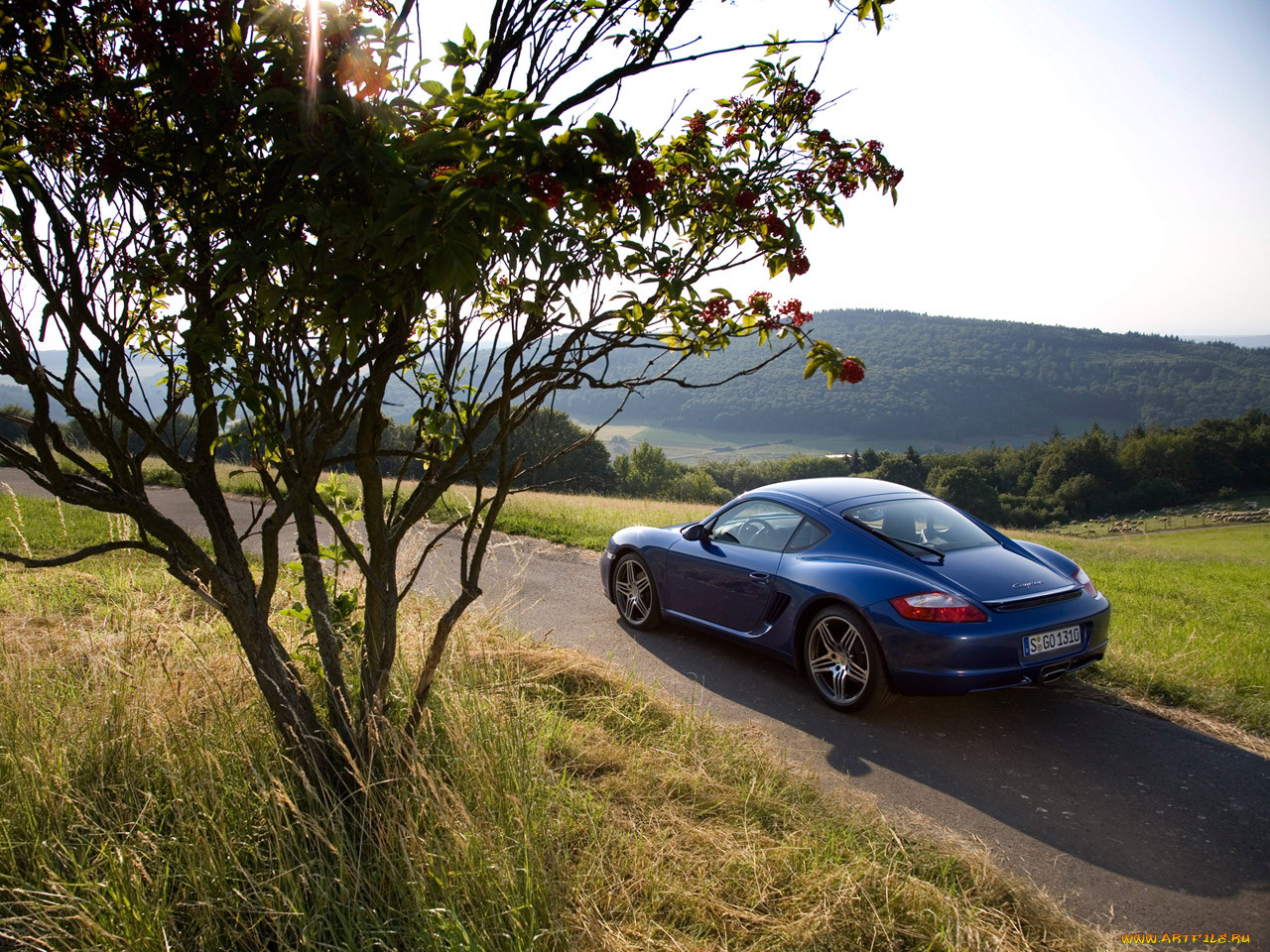 , porsche
